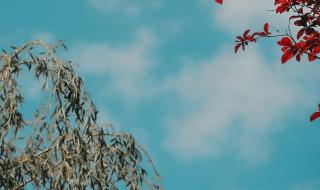 图片2024手机壁纸