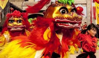 世界上最古老的鸭子