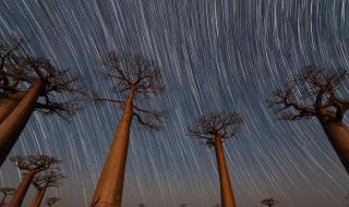 石斑鱼用什么呼吸