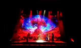 张起灵过去在干嘛