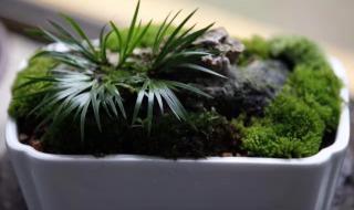 六月美句经典的话 六月美句经典的话