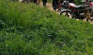 湛江市地图 湛江市地图