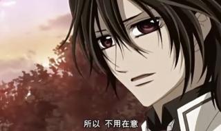 吸血鬼骑士guilty