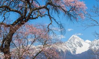 中国旅游宣传片