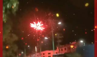 2024祝大家新年快乐