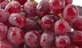 我会送你红色玫瑰