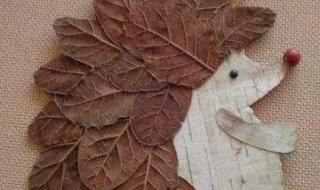 树叶画的简单做法