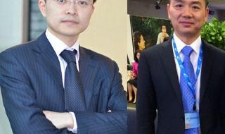 刘强东为啥不帮蔡磊