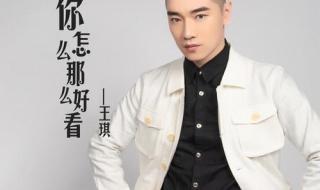 王琪最火的三首歌曲