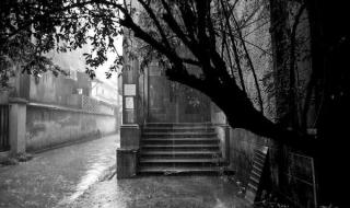 故宫5月12日起闭馆