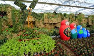 英雄联盟会员礼包