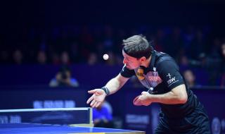 樊振东世界冠军数量