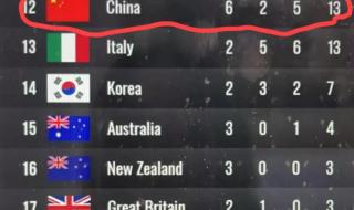 中国冬季奥运会奖牌榜