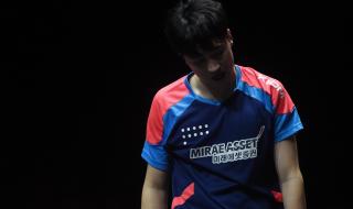 wtt世界杯男单决赛